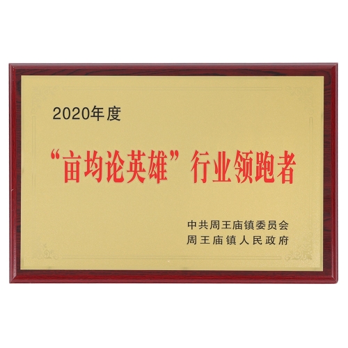 2020畝均論英雄行業領跑者